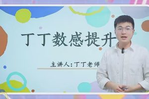 丁丁老师《小学3-6年级数学思维提升课》视频课程+附题库及讲义
